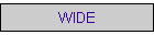 WIDE LCD
