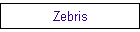 Zebris