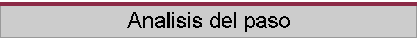 Analisis del paso
